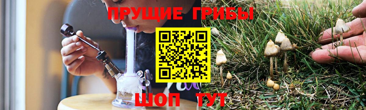 Среднеуральск  Галлюциногенные грибы Psilocybine cubensis  Вход с VPN  Псилоцибиновые грибы мицелий 